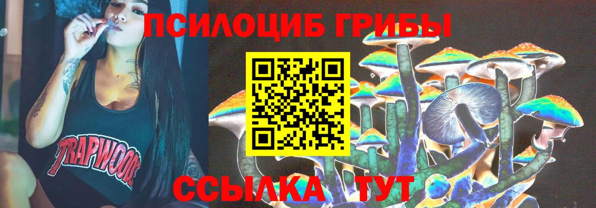 Псилоцибиновые грибы MAGIC MUSHROOMS  Вход с VPN  Георгиевск 